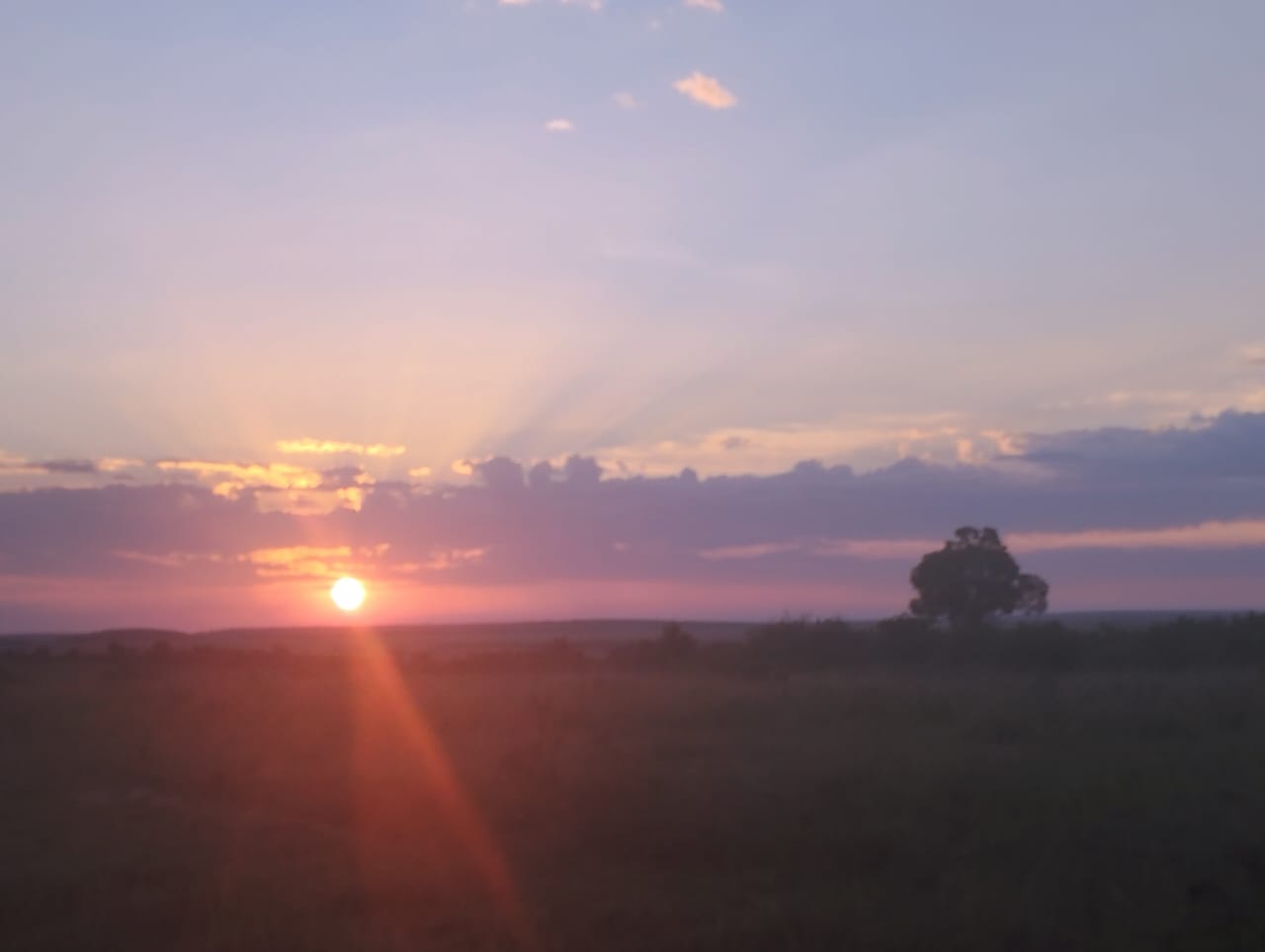 WhatsApp Image 2024-03-26 at 1.30.31 PM