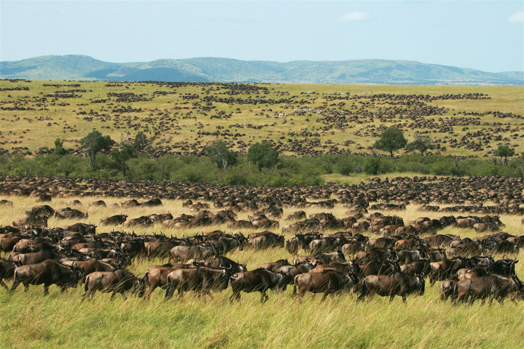 Maasai Mara