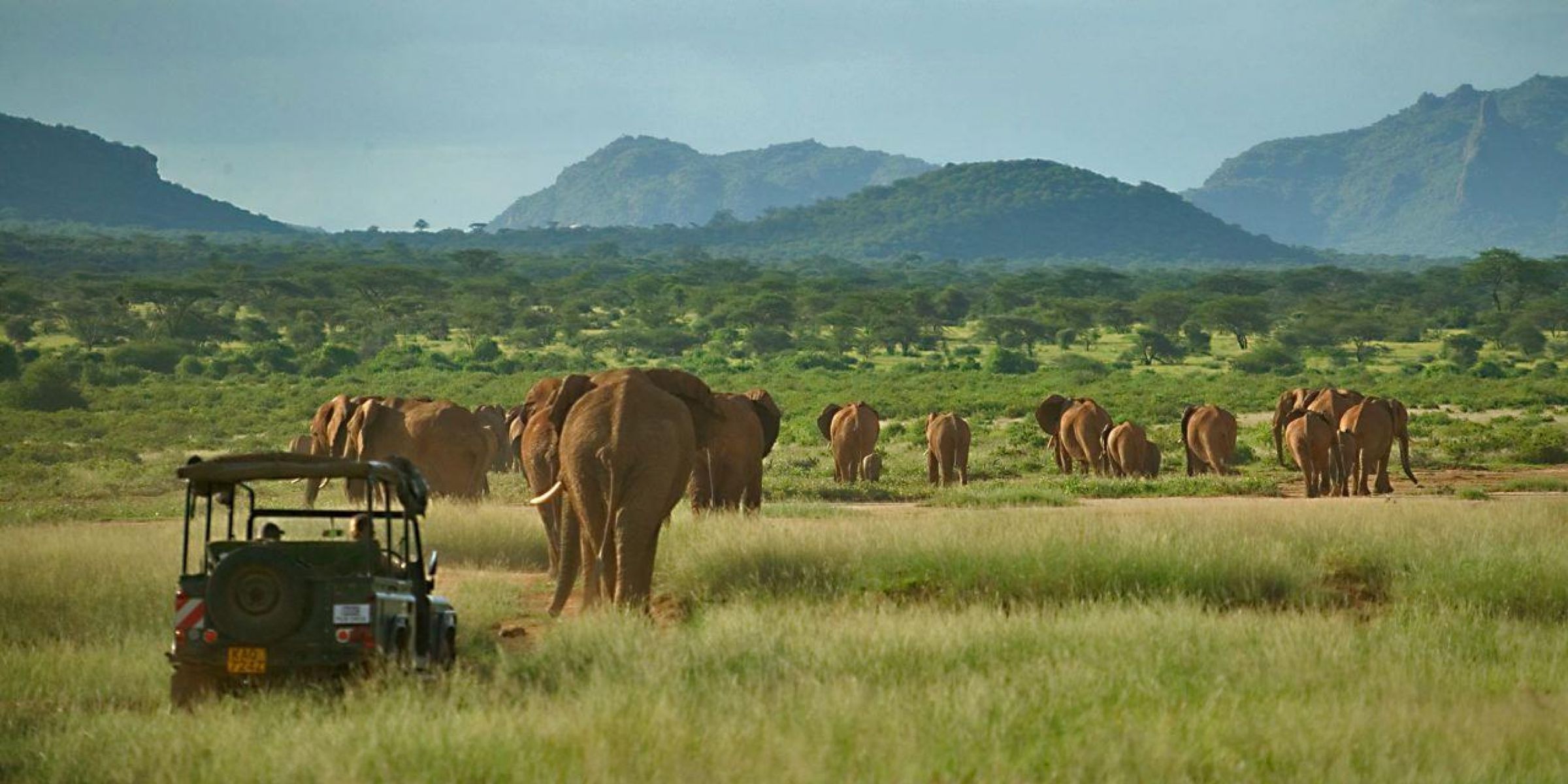 Samburu