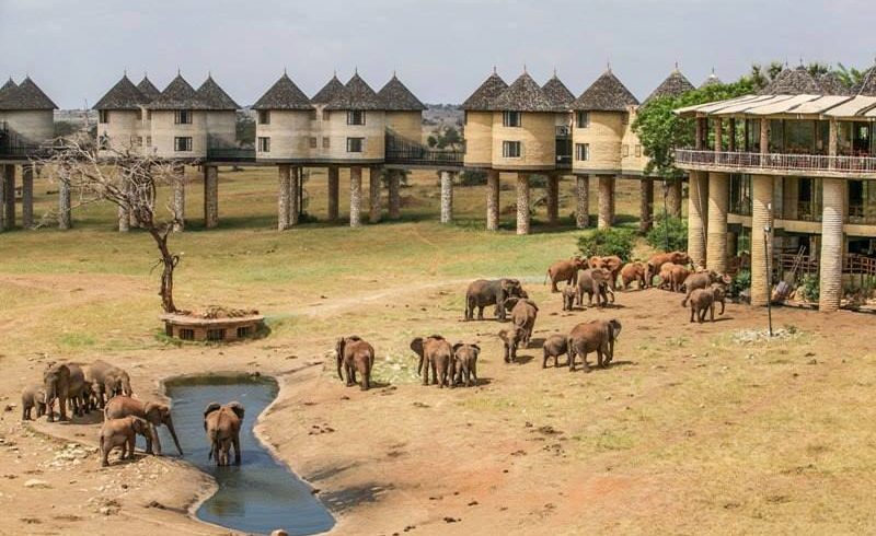 Sarova salt lick