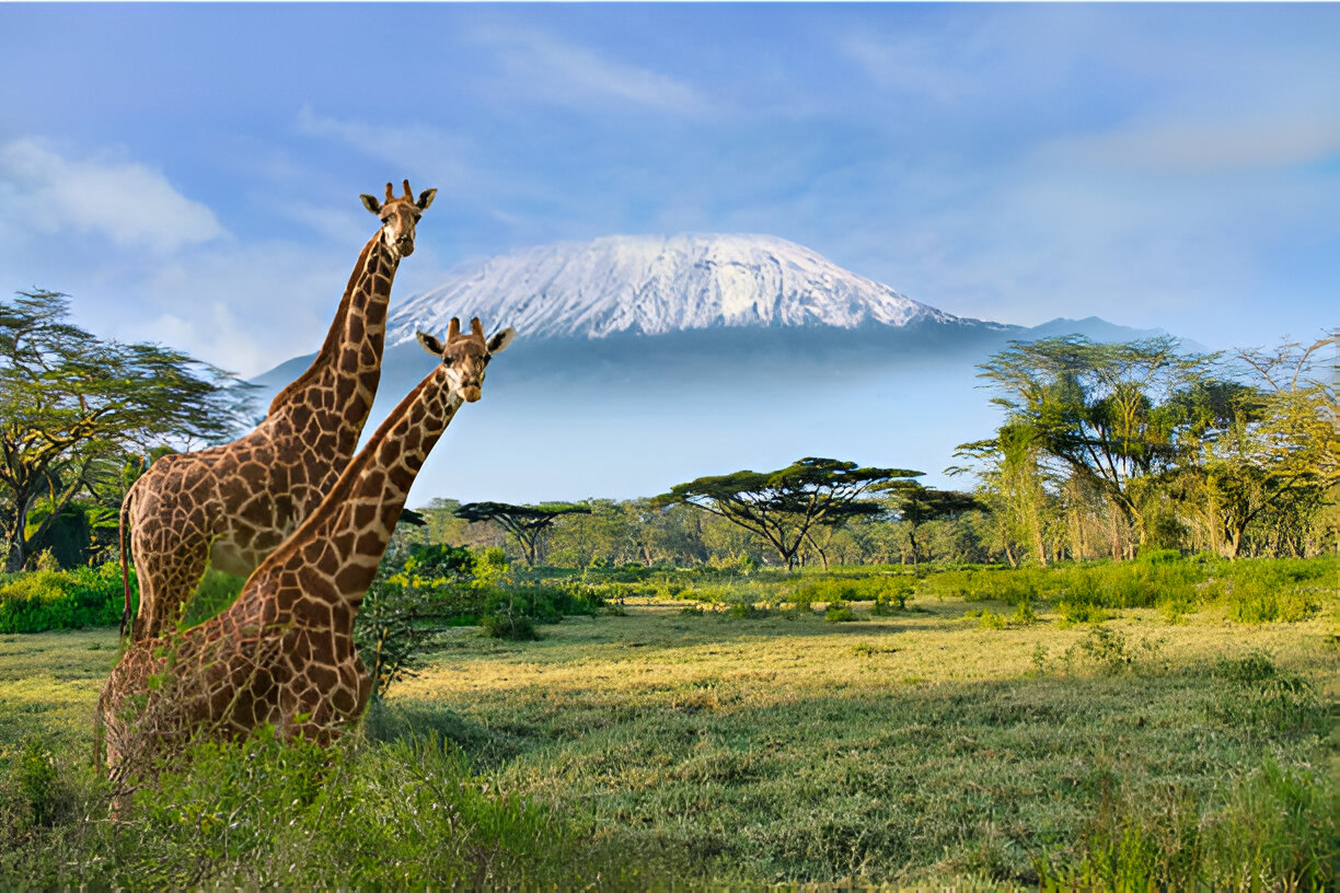 amboseli (2)