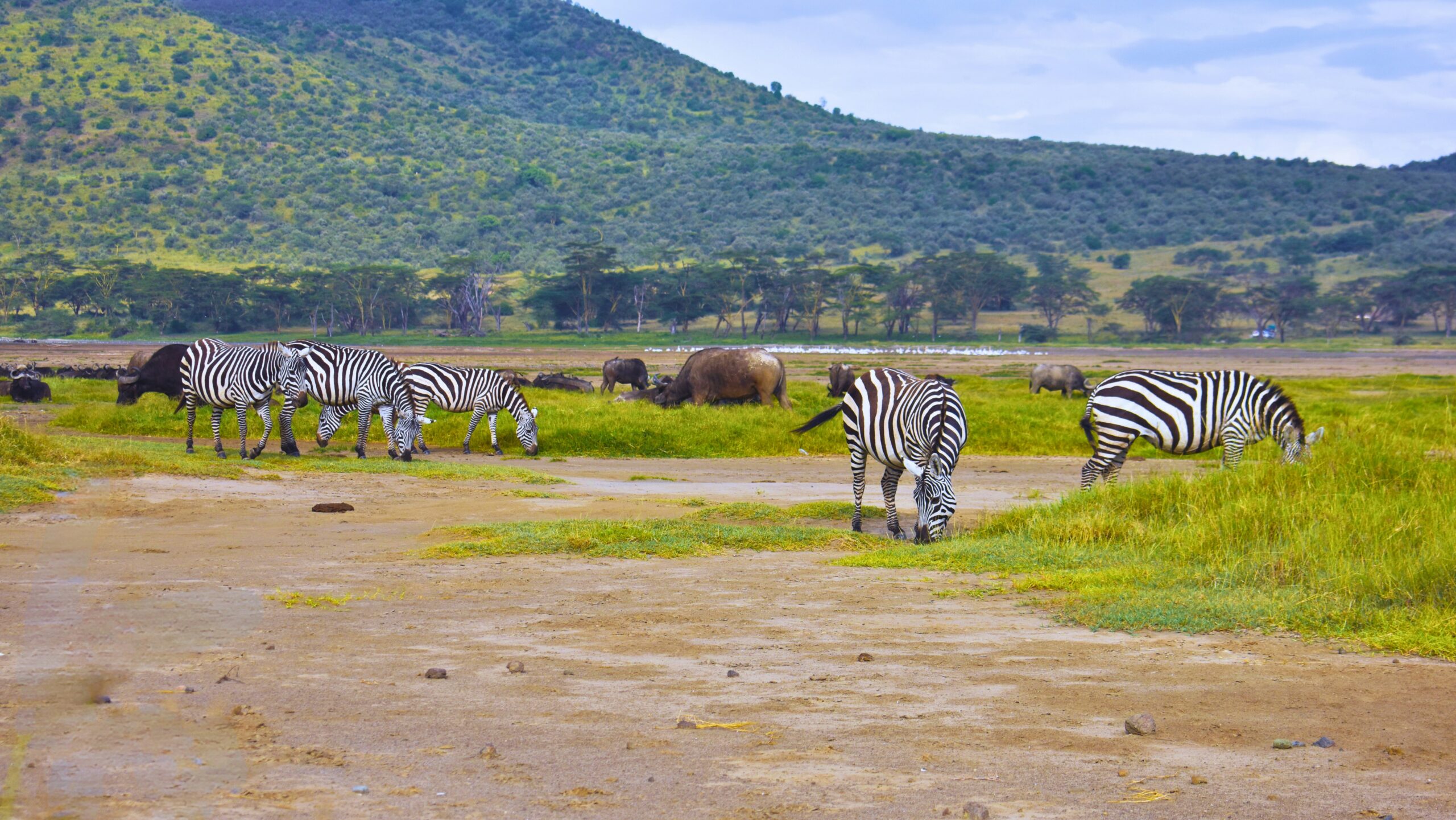 l.nakuru (2)