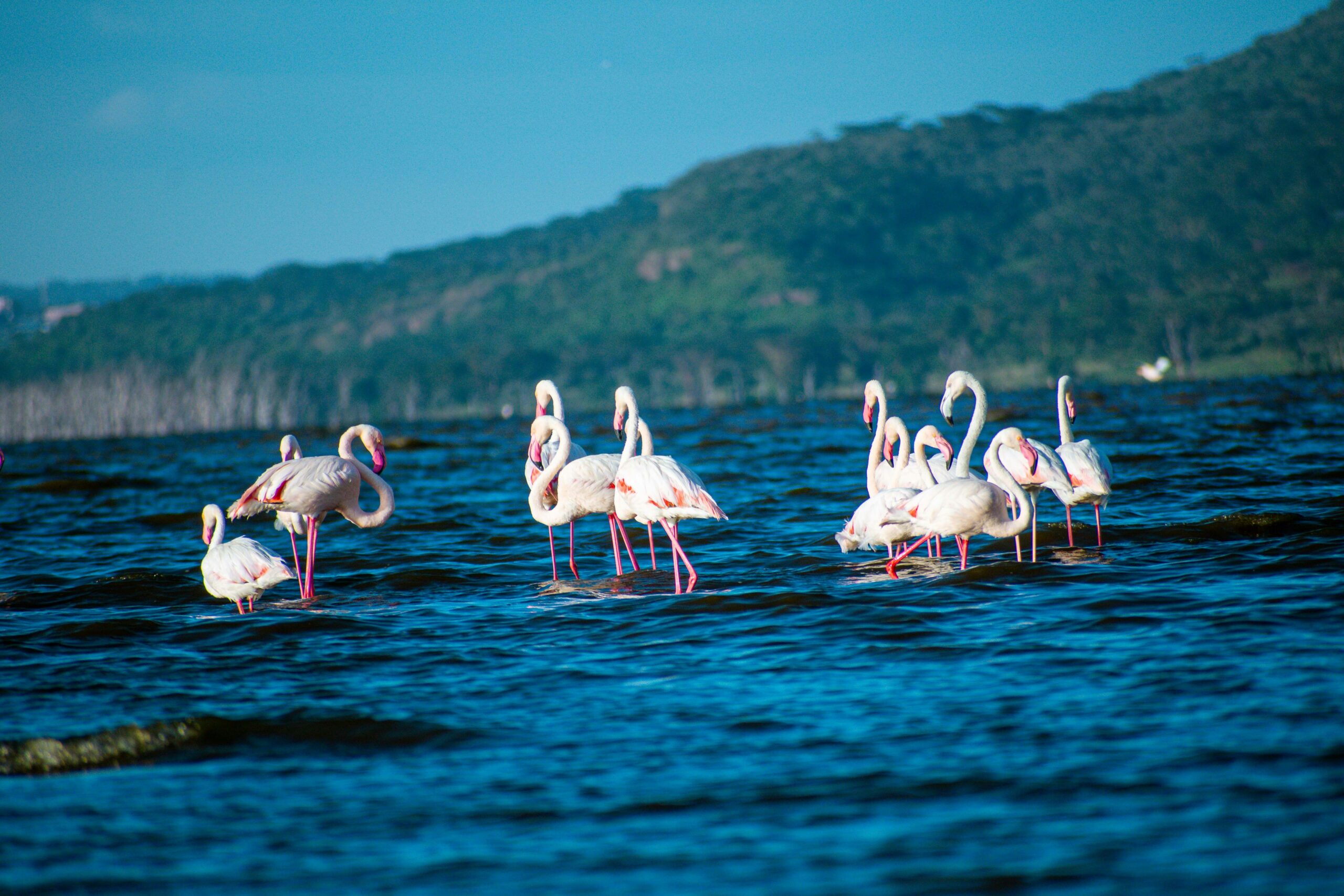 l.nakuru