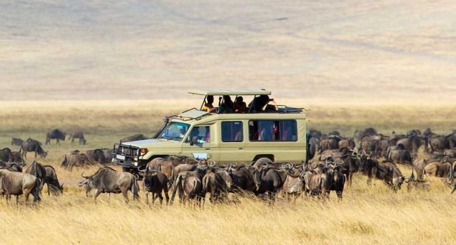 Serengeti-National-Park-2