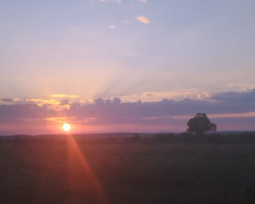 WhatsApp Image 2024-03-26 at 1.30.31 PM