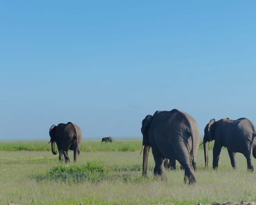 WhatsApp Image 2024-03-26 at 1.30.35 PM