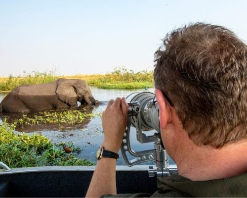 chobe-photography-safaris
